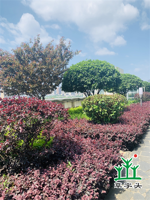 湖南完美体育生态环境建设有限公司,人造草坪假草皮,湖南雨水收集处理工艺